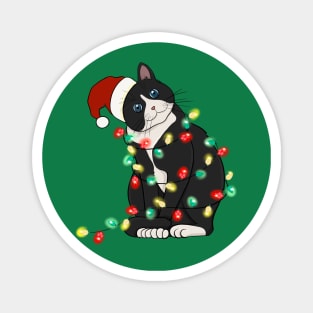 Cat Santa Christmas Lights Magnet